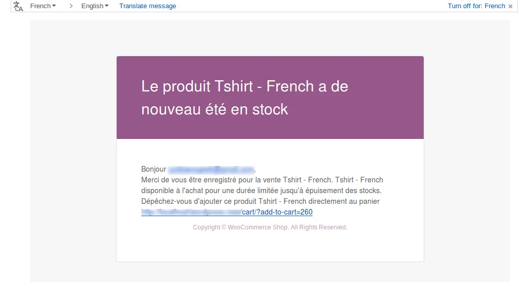 WPML Add-on - Back In Stock Notifier for WooCommerce screenshot 3