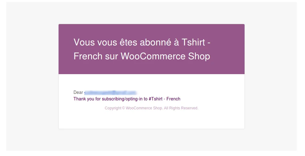 WPML Add-on - Back In Stock Notifier for WooCommerce screenshot 2