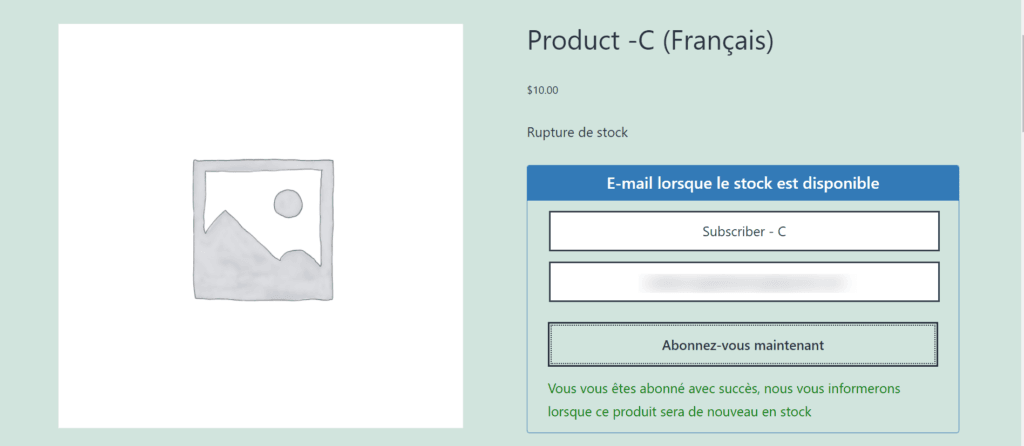 Polylang Add-on - Back In Stock Notifier for WooCommerce screenshot 3